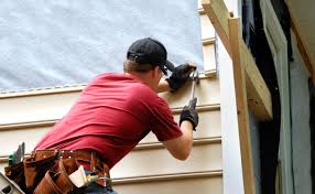 Best Engineered Wood Siding  in Alamo, TX